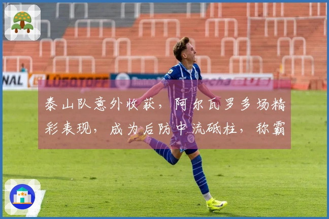 泰山队意外收获，阿尔瓦罗多场精彩表现，成为后防中流砥柱，称霸中超防线